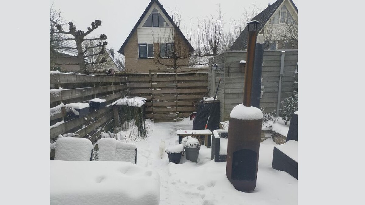 Optical Illusion Quiz (Pic Credit: Brightside)