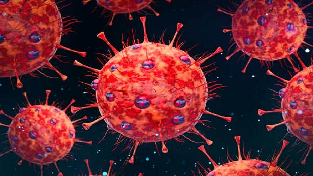 प्रतीकात्मक तस्वीर