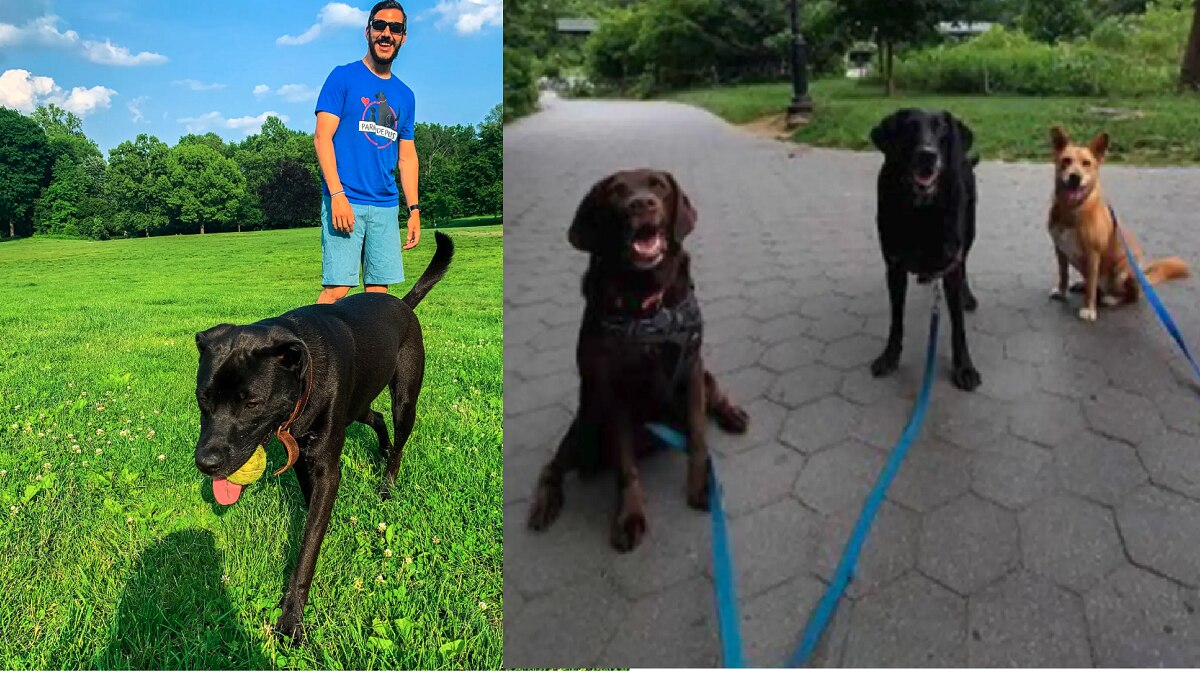 कुत्‍ते घुमाने का काम जैसे ही शख्‍स ने शुरू किया उसकी जिंदगी बदल गई (Credit: Michael Josephs )