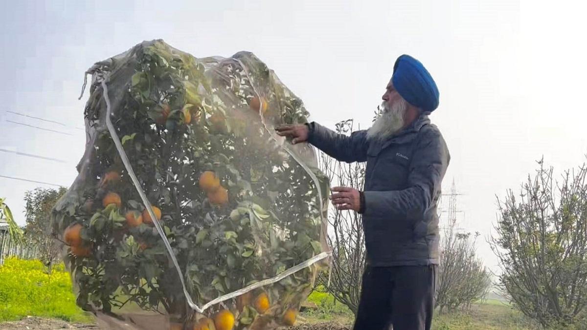 Farmer's success story