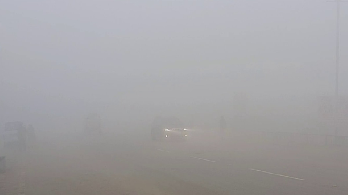 IMD Fog Alert (Pic Credit: ANI)