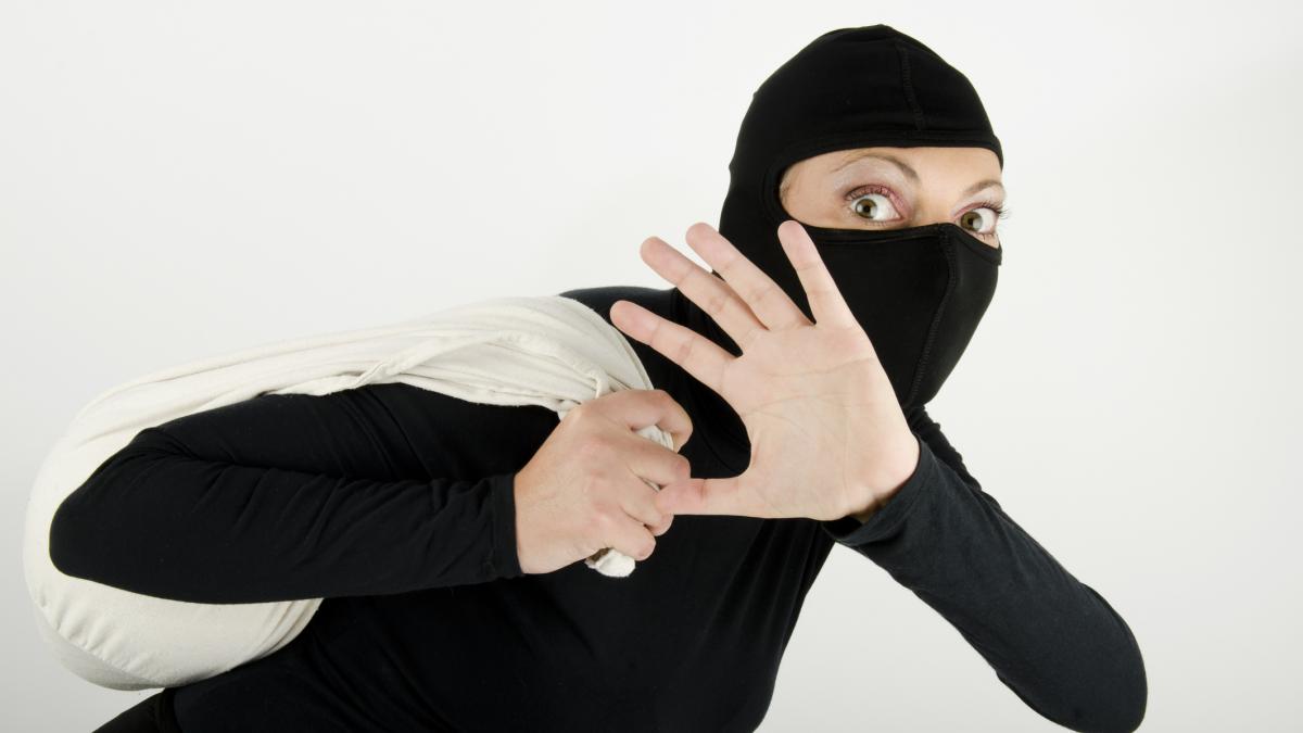 'सबसे बदसूरत चीज' चुरा ले गए चोर... सदमे में मालिक!