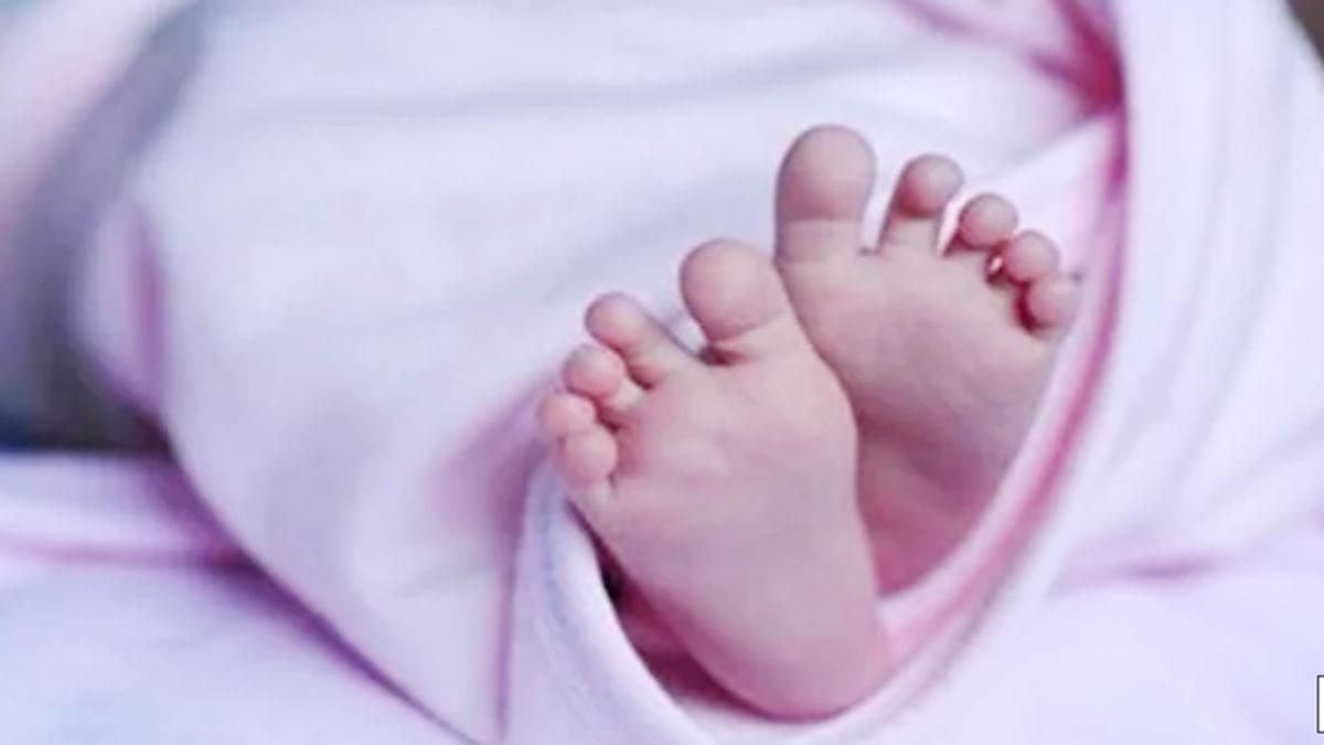 (प्रतीकात्मक फोटो)