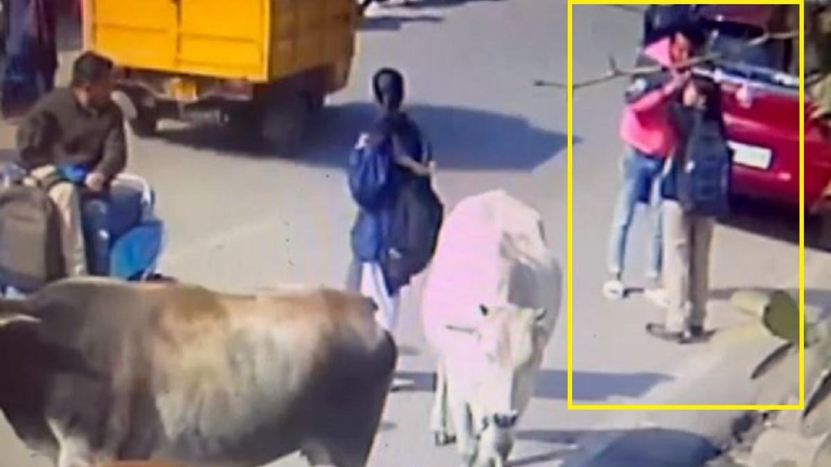 लखनऊ में छात्रा से छेड़छाड़ करने वाले चढ़े पुलिस के हत्थे