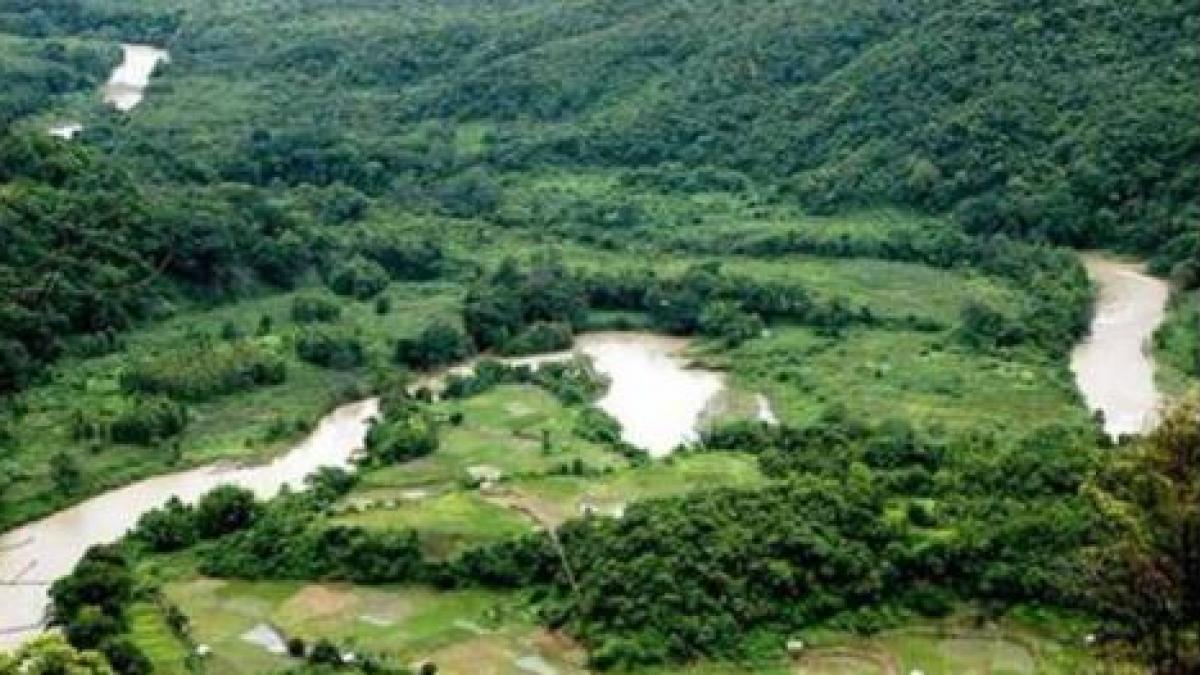 नगालैंड चुनाव