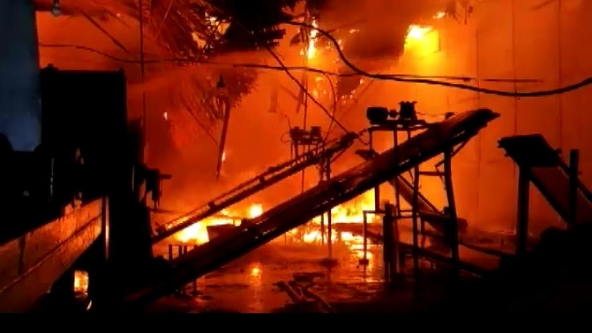 चाय बागान की फैक्ट्री में लगी भीषण आग