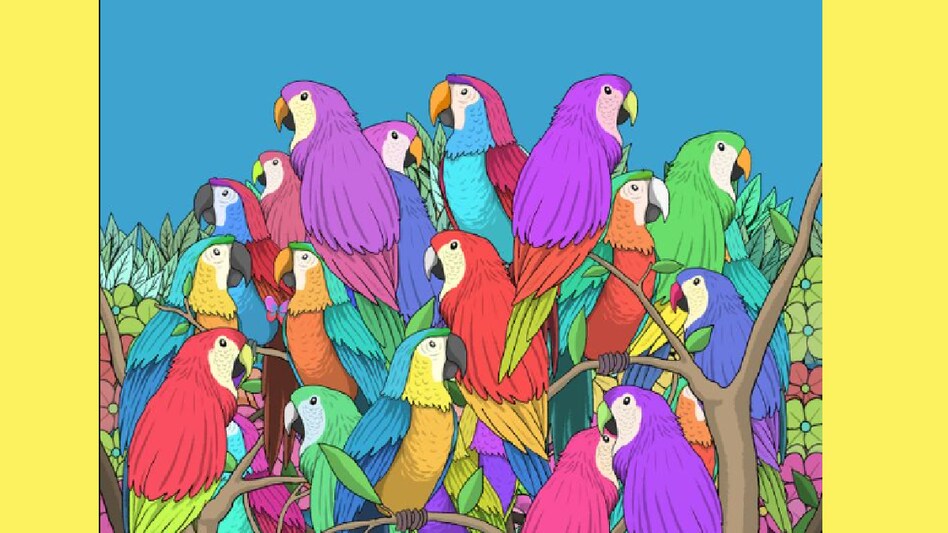 Optical Illusion Quiz (Pic Credit: Brightside)