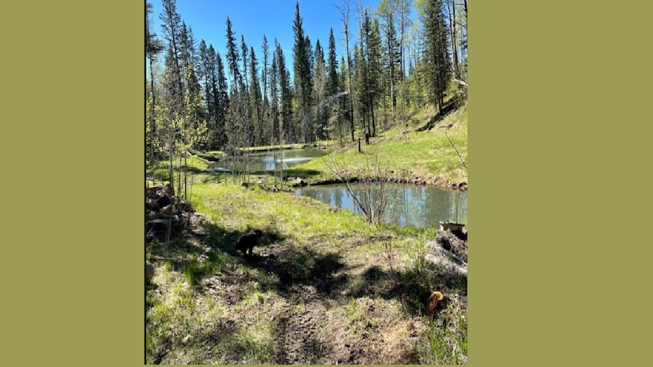 Optical Illusion Quiz (Pic Credit: Brightside)