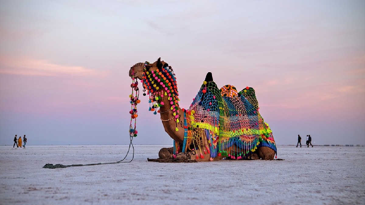 IRCTC Tour Package (Pic Credit: gujarattourism.com)