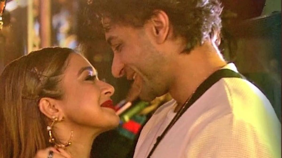 टीना दत्ता-शालीन भनोट