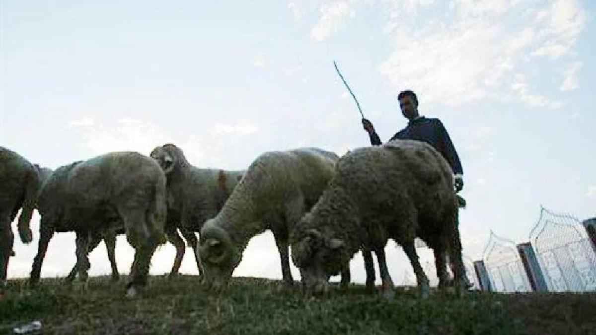 सांकेतिक तस्वीर