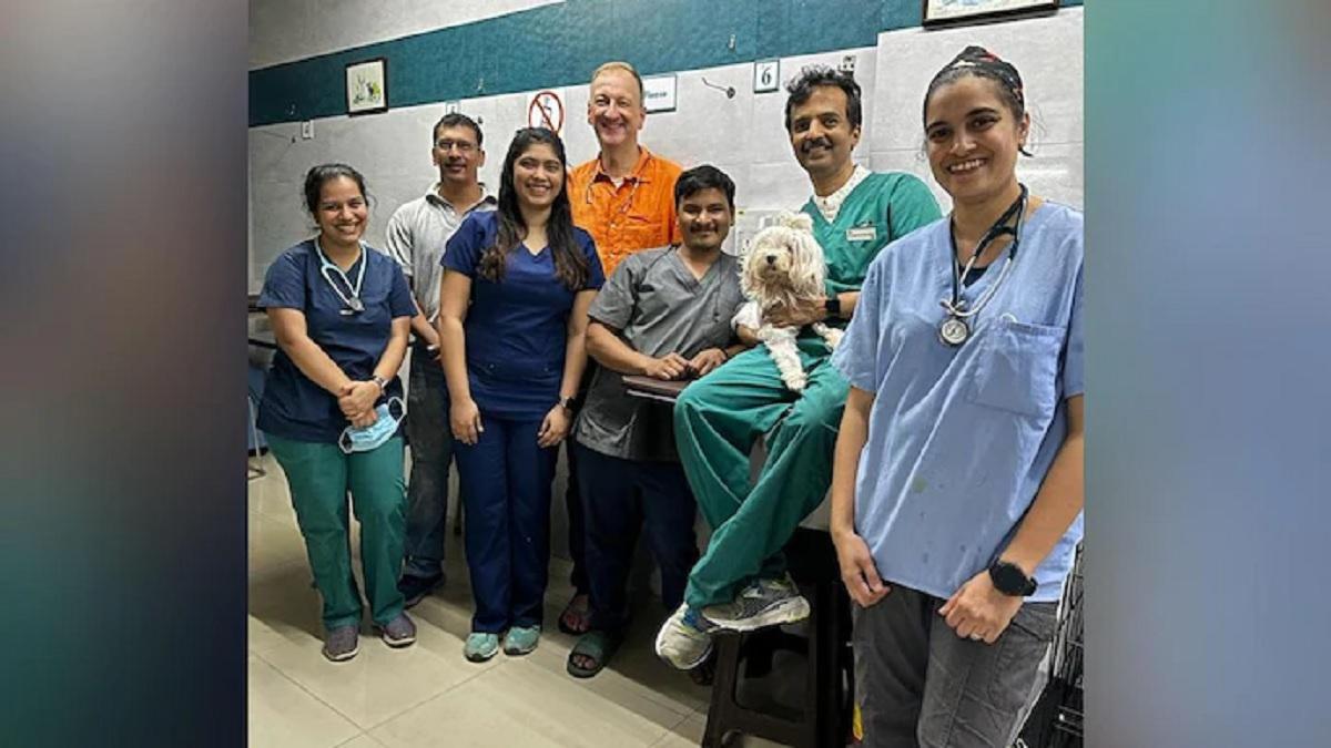 कुत्ते की सर्जरी के लिए जर्मनी से आया डॉक्टर