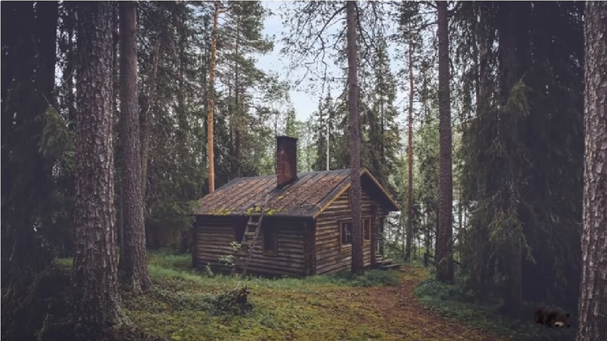 Optical Illusion (Pic Credit:  Mind Oddities Youtube)