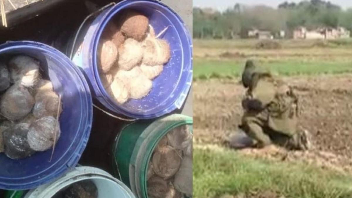 प्रतीकात्मक फोटो