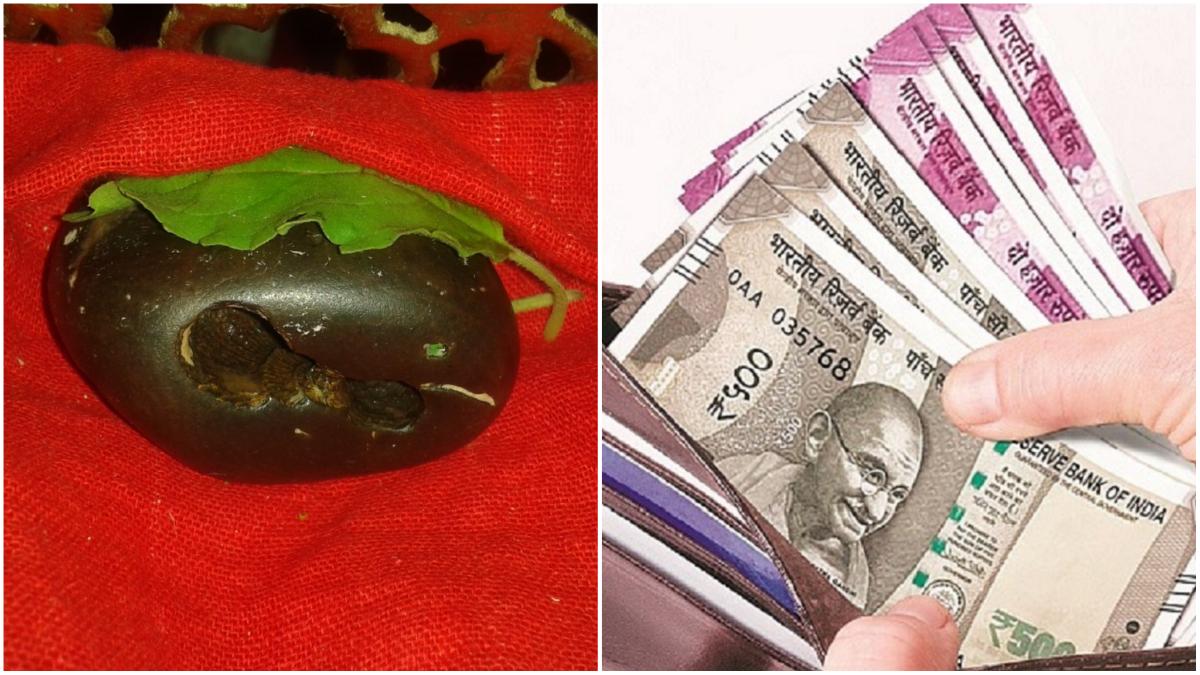 Shaligram Stone: बेशुमार रुपया-पैसा लेकर आता है शालिग्राम, जानें इसे घर में रखने के 4 बड़े फायदे