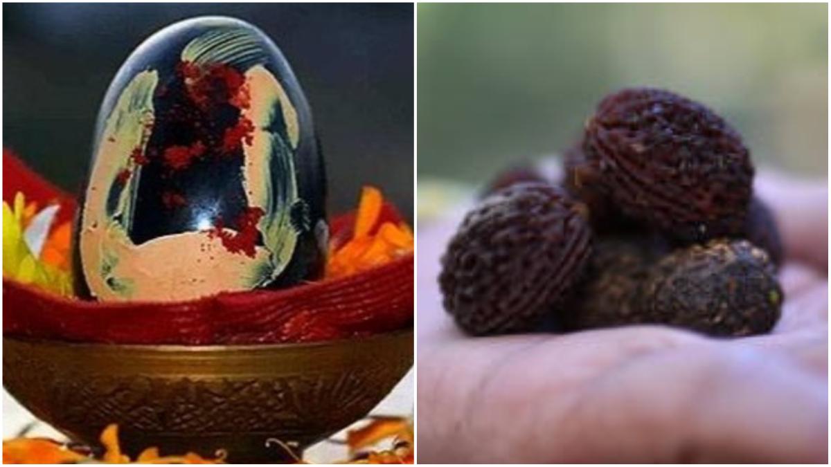 सावधान! घर में न रखें ये 2 चीजें, आपके परिवार को कर सकती हैं बर्बाद