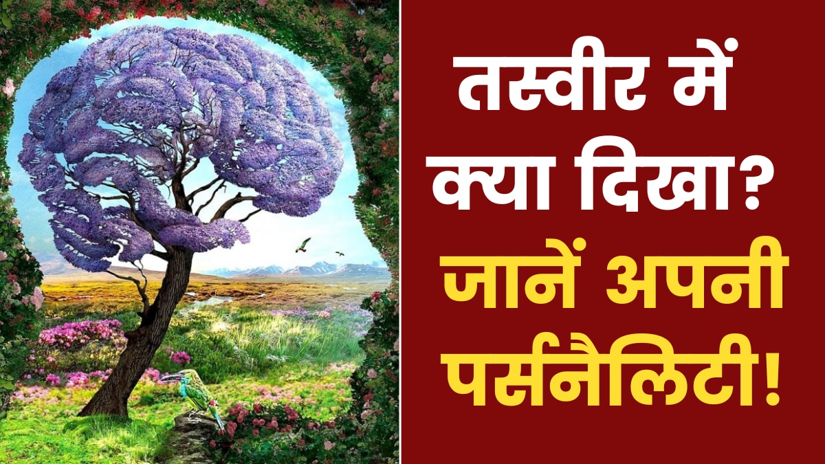 Know Your True Personality (Mind Journal)