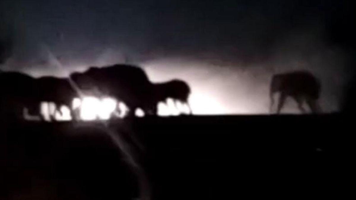 रोड पर अचानक आ गया हाथियों का झुंड. 