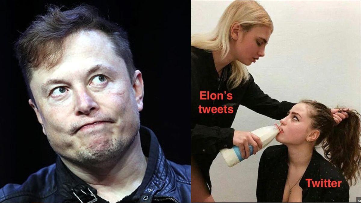 एलन मस्क ने मीम शेयर किया (तस्वीर- ट्विटर)