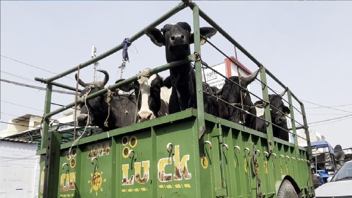 डिप्टी कमिश्नर दफ्तर के बाहर का नजारा