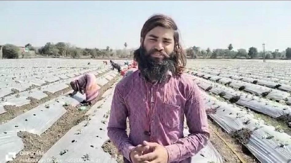 3-3 सरकारी नौकरी छोड़ धनराज ने शुरू की खेती, पहली बार में ही कमाए 38 लाख  रुपये - Rajasthan young farmer left 3 government jobs earns 38 lakh rupees  through multi crop farming lbsa - AajTak