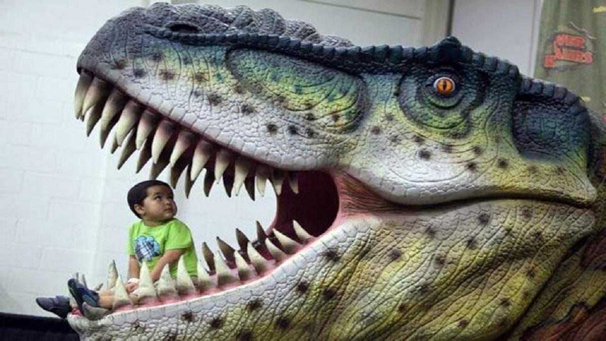 सांकेतिक तस्वीर