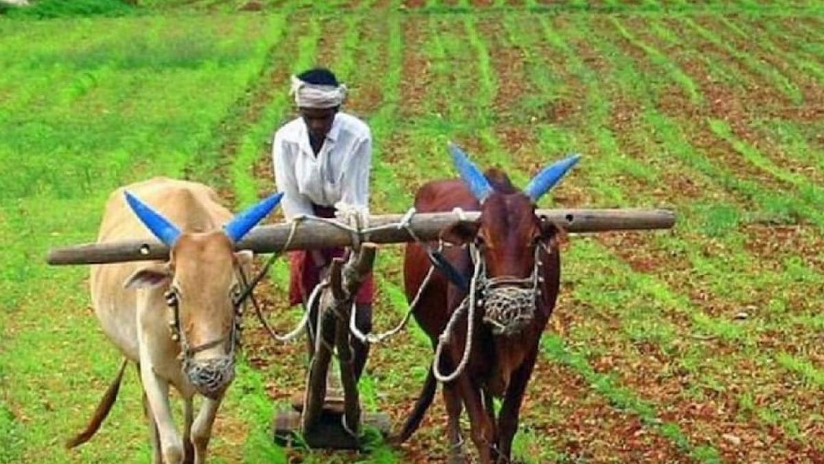 PM Kisan samman nidhi yojana (File Photo)