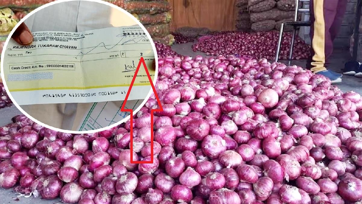 512 किलो प्याज के लिए किसान को मिला 2 रुपये का चेक. 