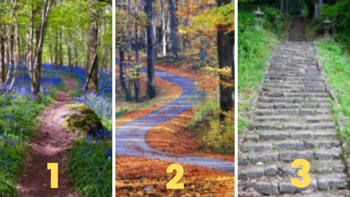 Personality Test (Pic Credit: The Mind Journal)