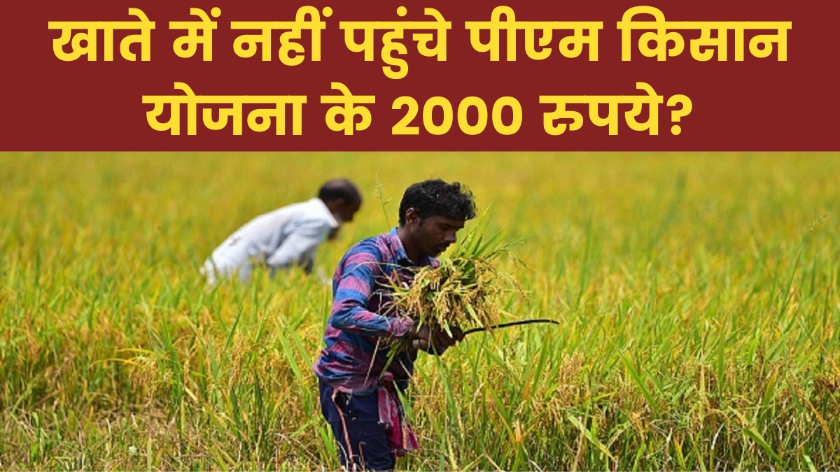 PM Kisan Yojana