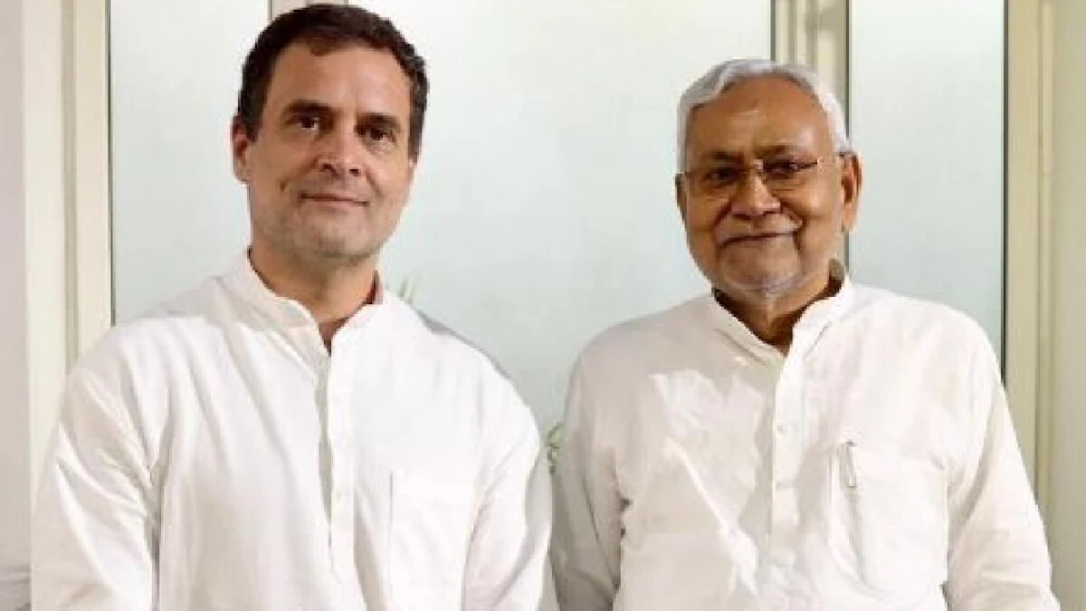 नीतीश कुमार और राहुल गांधी (फाइल फोटो)