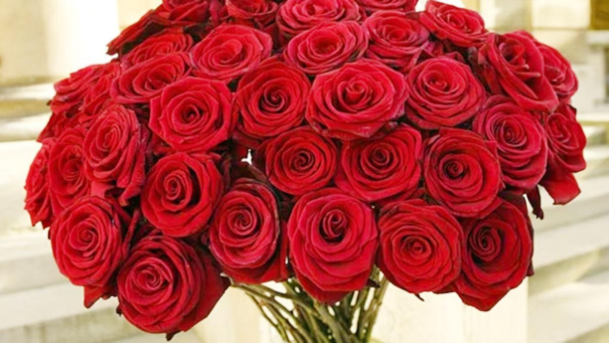 (प्रतीकात्मक फोटो)