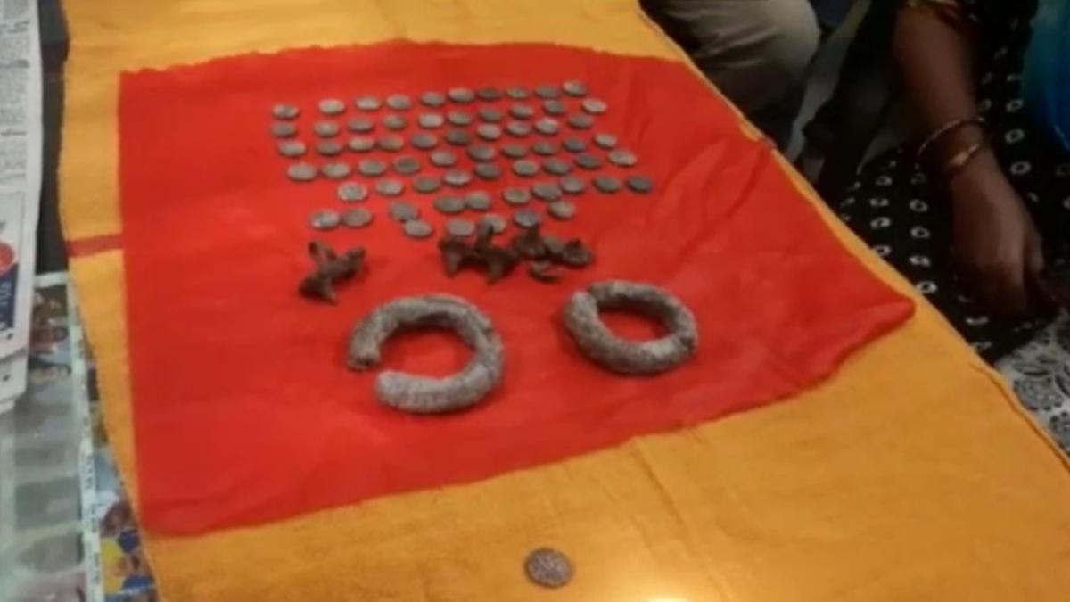 संस्कृति विभाग ने सिक्कों के बारे में अहम जानकारी दी.