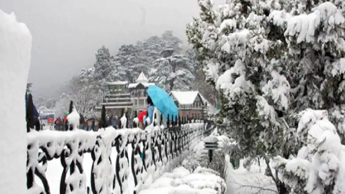 Weather Forecast (Representational Image)