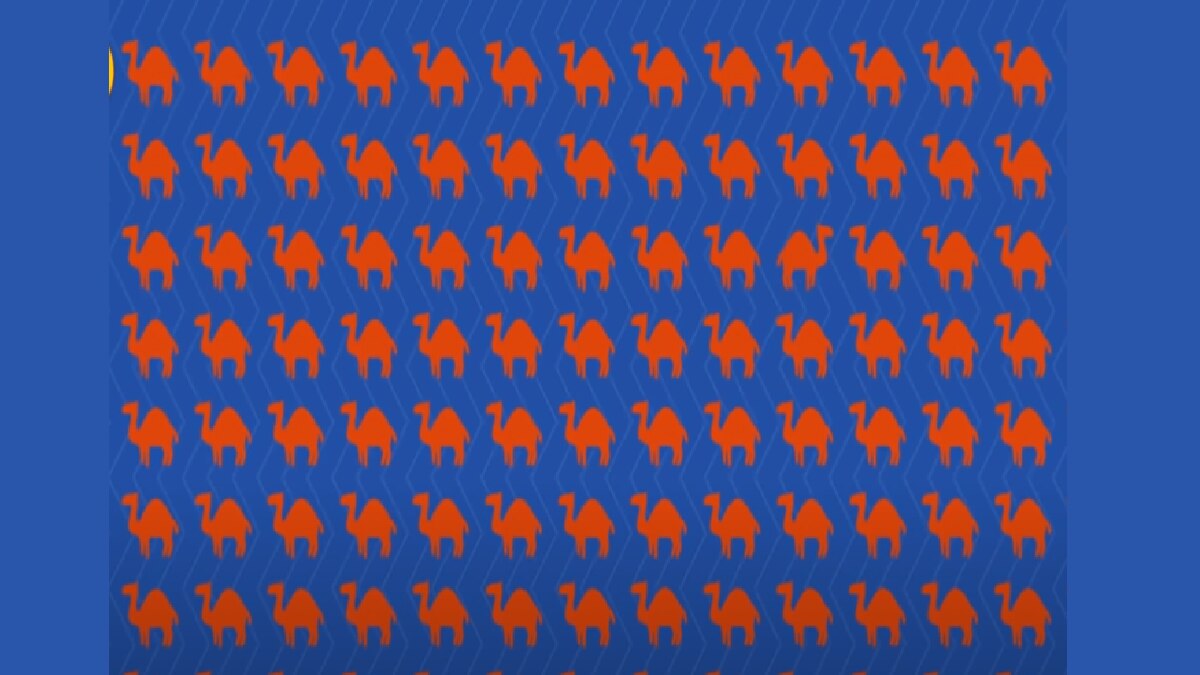 Find The Odd One Out (Pic Credit: Youtube Brightside)