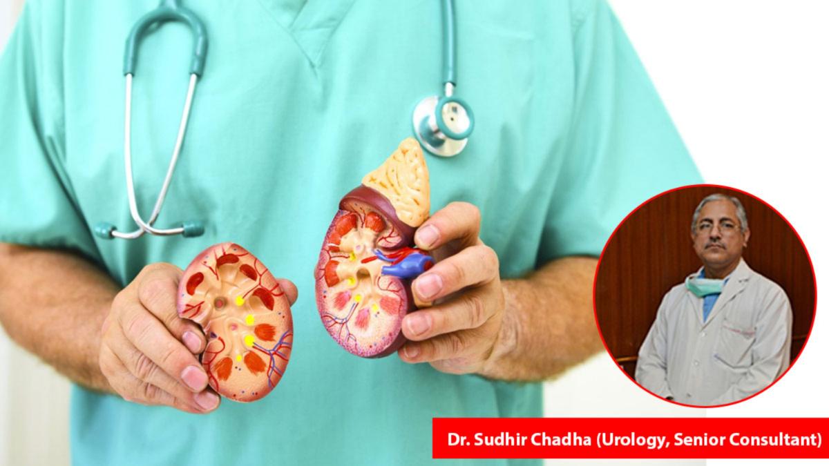 Kidney Failure: क्या दोनों किडनी फेल होने के बावजूद बच सकती है जान? इन बातों का ख्याल रखना बेहद जरूरी