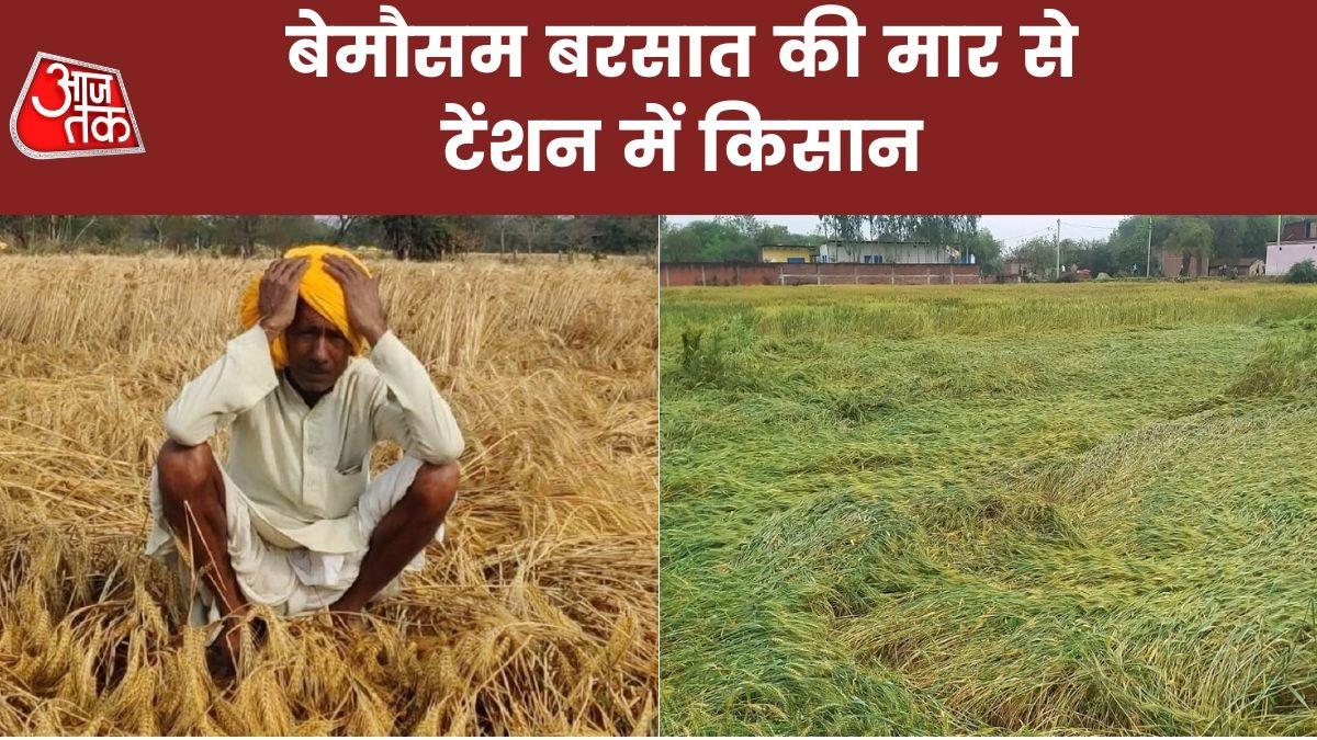 बारिश-ओलावृष्टि से किसानों को भारी नुकसान