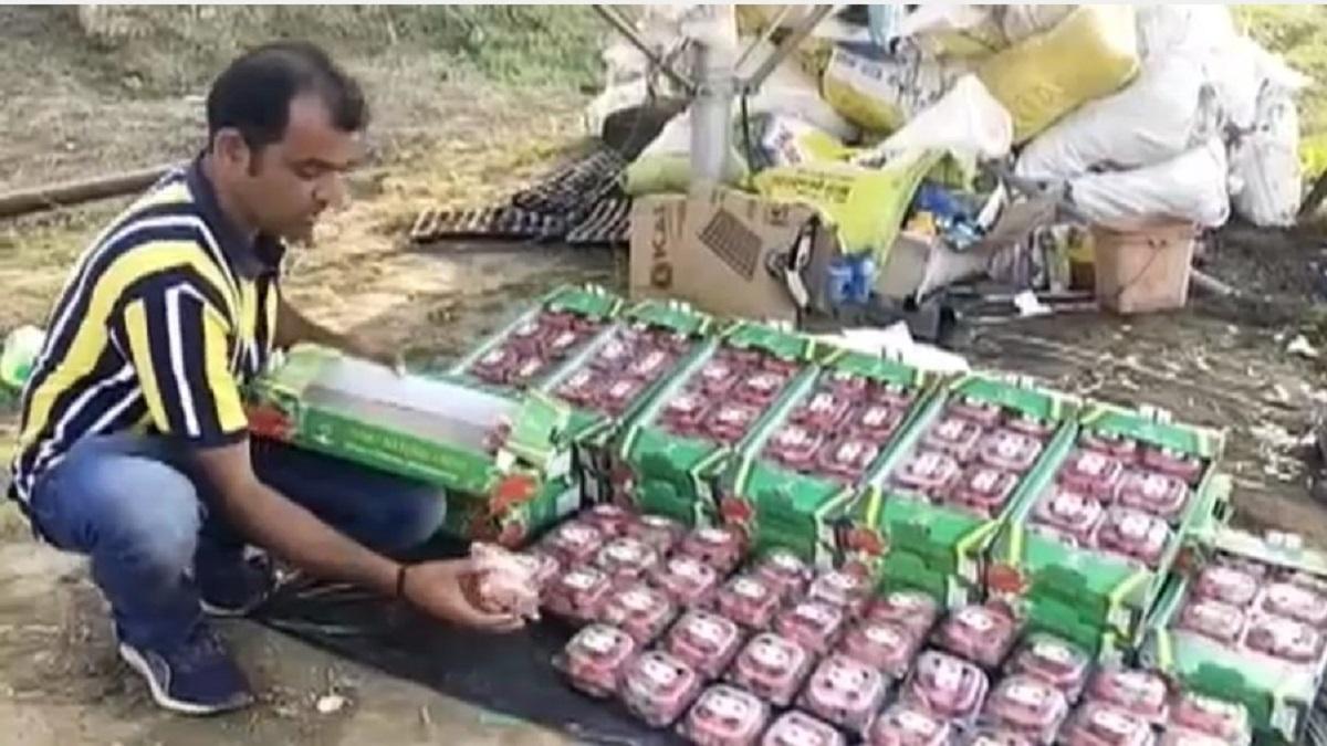 इंजीनियरिंग की नौकरी छोड़ किसान बना शख्स, स्ट्रॉबेरी की खेती से कमा रहा लाखों