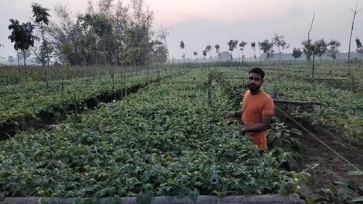Bihar farmer grow 36 type of crops
