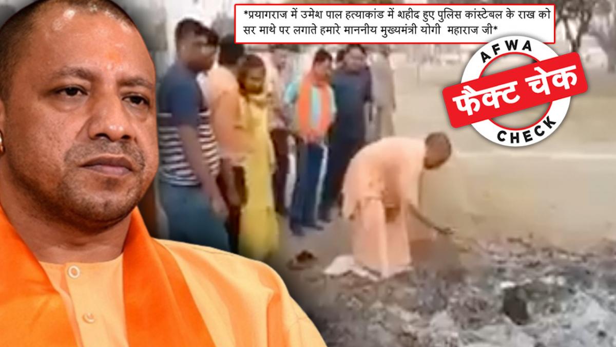 सोशल मीडिया यूजर्स