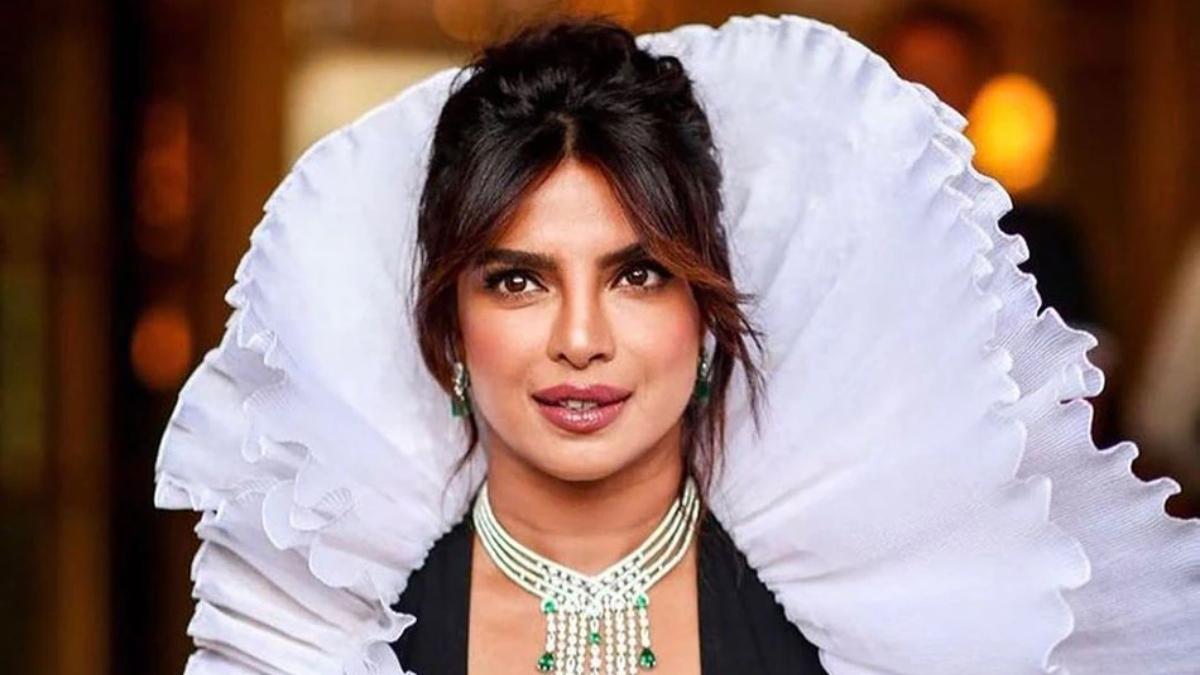 'अपनी ब्रेस्ट सर्जरी कराओ, दिखने चाहिए गारमेंट', जब प्र‍ियंका से की गई डिमांड, छोड़ी फिल्में