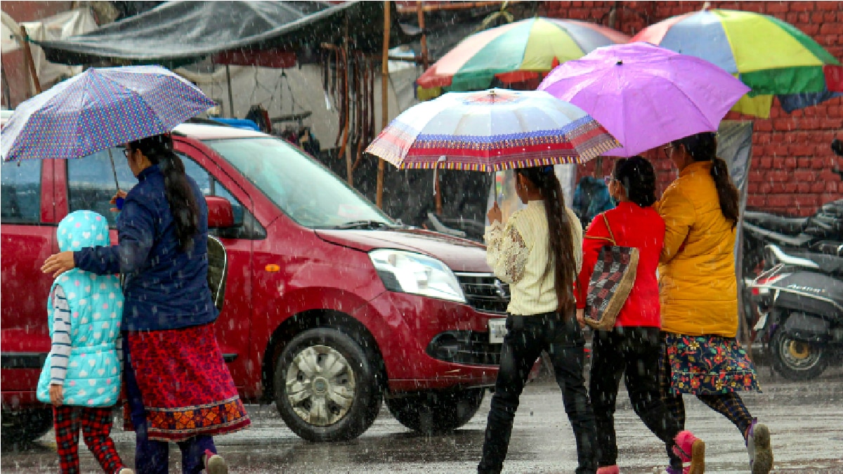 IMD Rainfall Update (Representational Image)