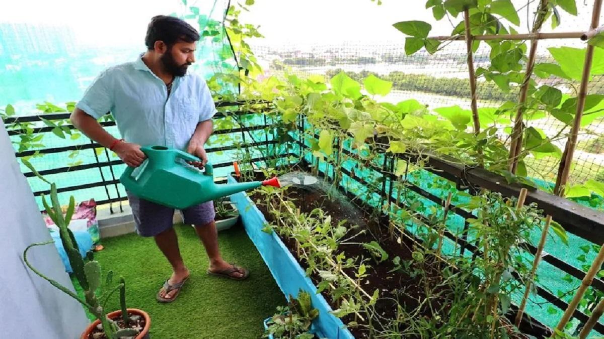 Rooftop gardening( Pic credit: Getty)