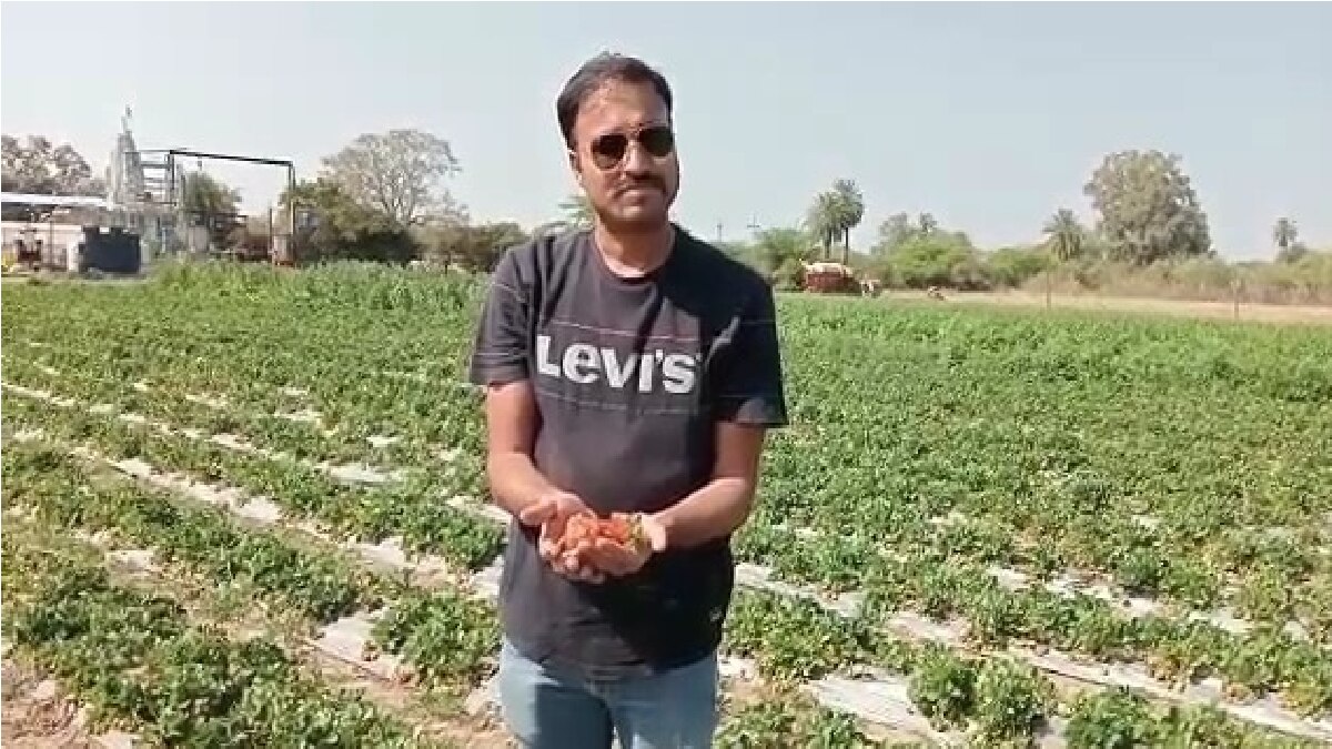 17 लाख की नौकरी छोड़ कपिल कर रहे गुलाब की खेती 