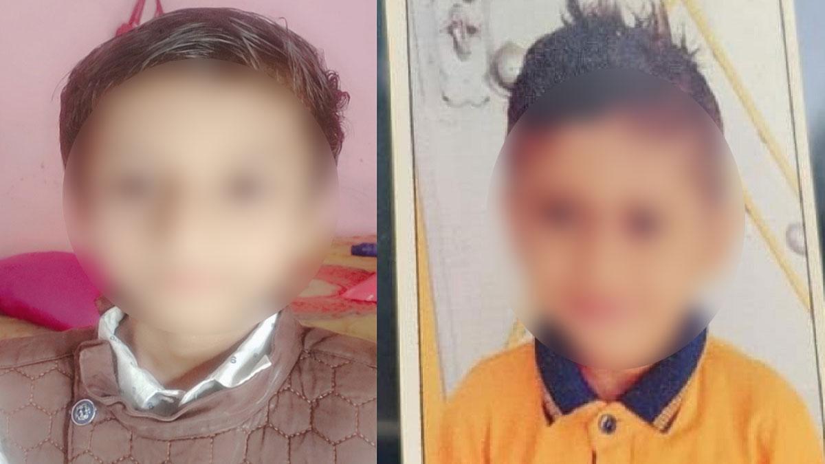 आवारा कुत्तों के काटे जाने के कारण दो बच्चों की मौत.