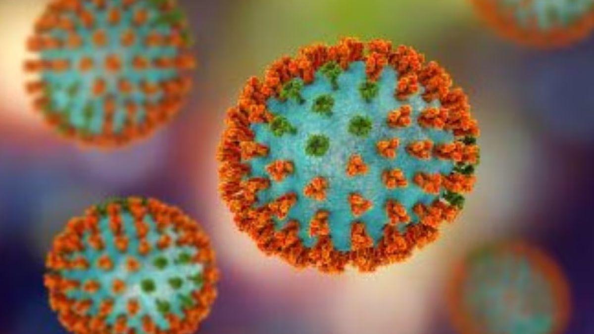 कोरोना के बाद H3N2 वायरस का कहर, इस राज्य में हुई पहली मौत