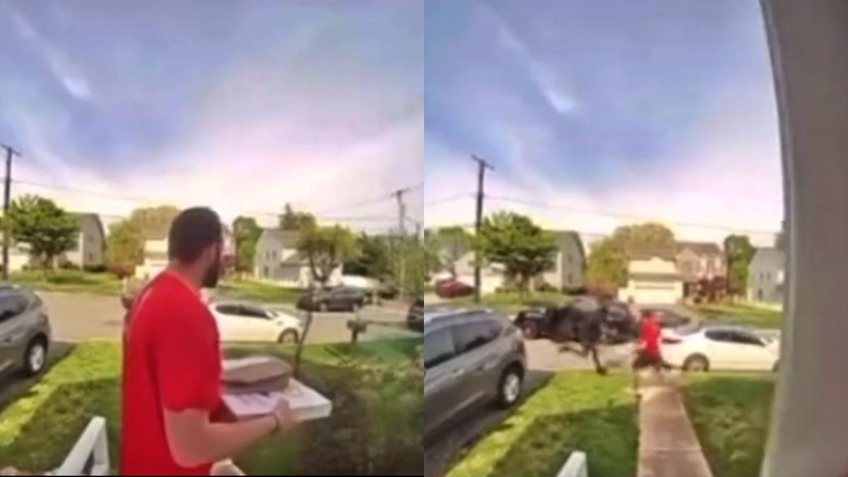 पिज्जा डिलीवरी करने आया था शख्स (फोटो- ट्विटर) 