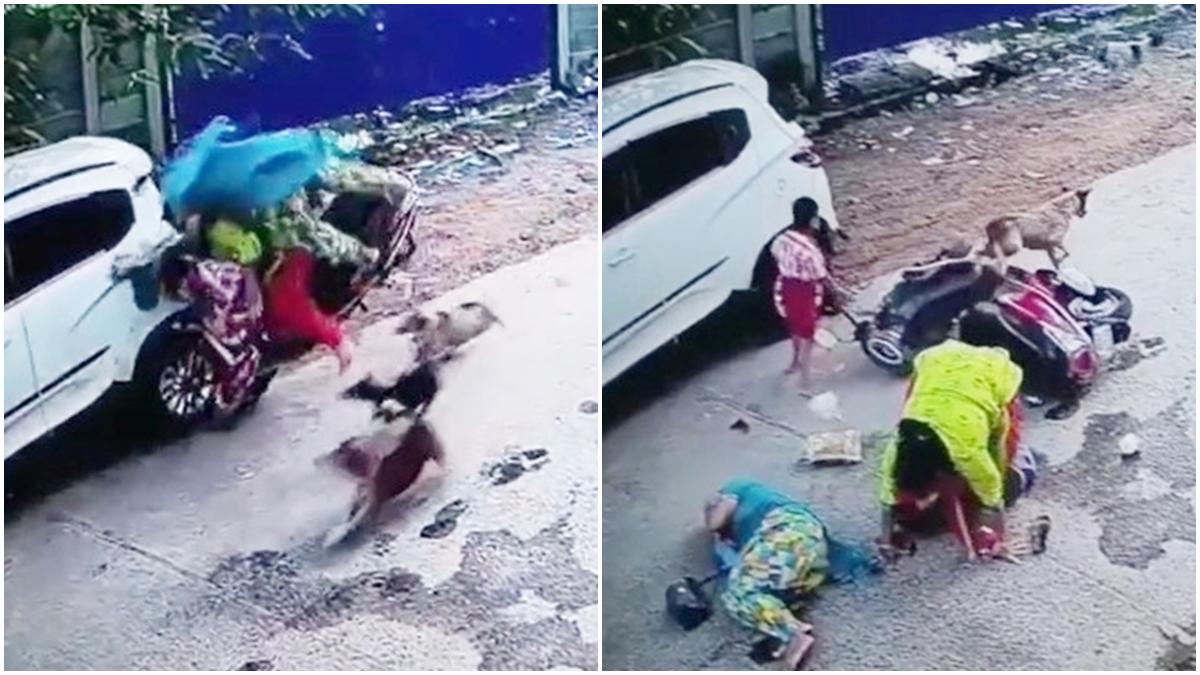 कुत्तों के हमले के दौरान बाईं तरफ ऐसे भिड़ी स्कूटी. दाईं तरफ हादसे के बाद गिरी महिलाएं. 