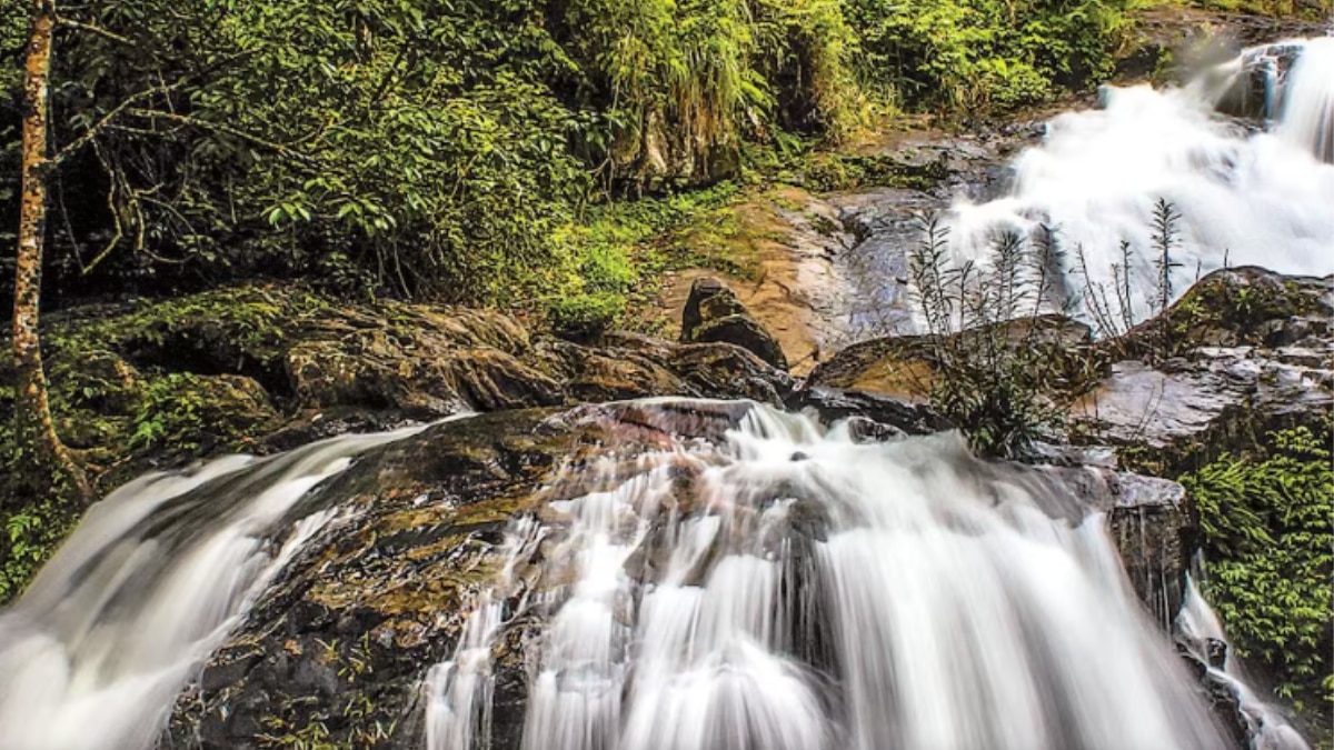 जल शक्ति मंत्रालय ने वॉटर बॉडीज सेंसस की रिपोर्ट जारी की है