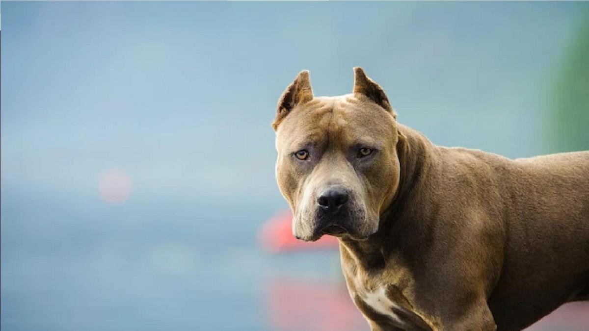 प्रतीकात्मक तस्वीर.